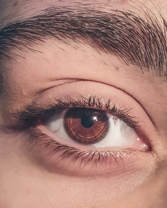 Close-up of a full, dark brow above a brown eye with long lashes