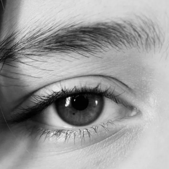 Black and white close-up of a brushed-up brow above an eye