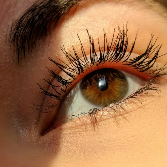 Macro of a brown eye with long, curled lashes