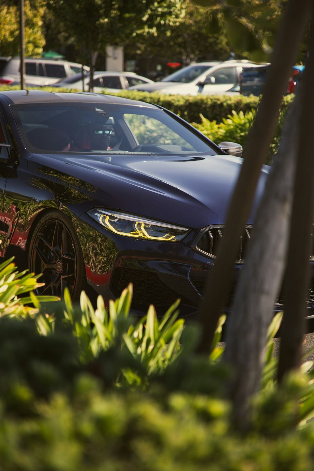 Dark blue sports car with tinted windows in a sunlit lot